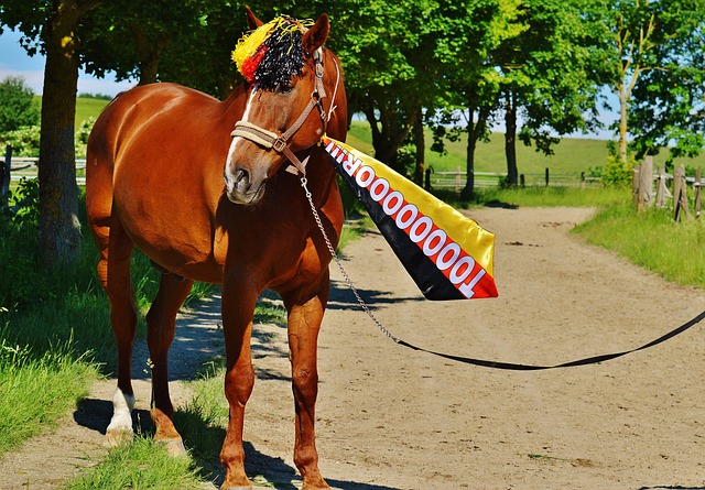 响中国足球 响中国足球