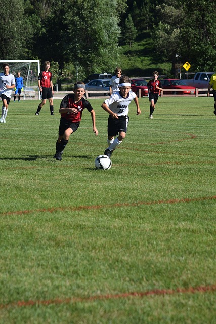 要里程碑 要里程碑